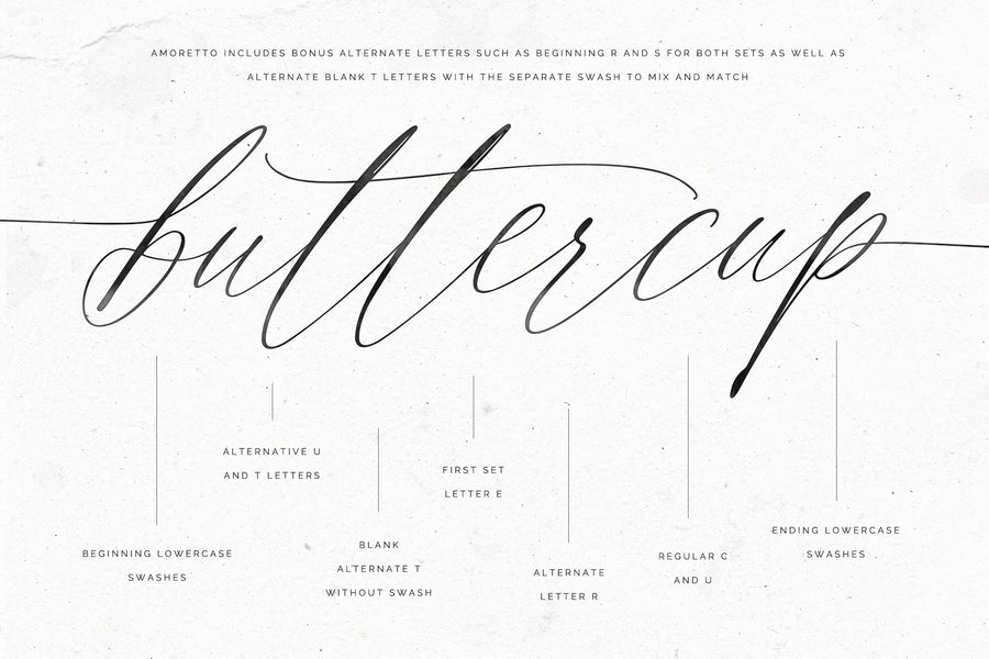 Amoretto | Modern Calligraphy Script