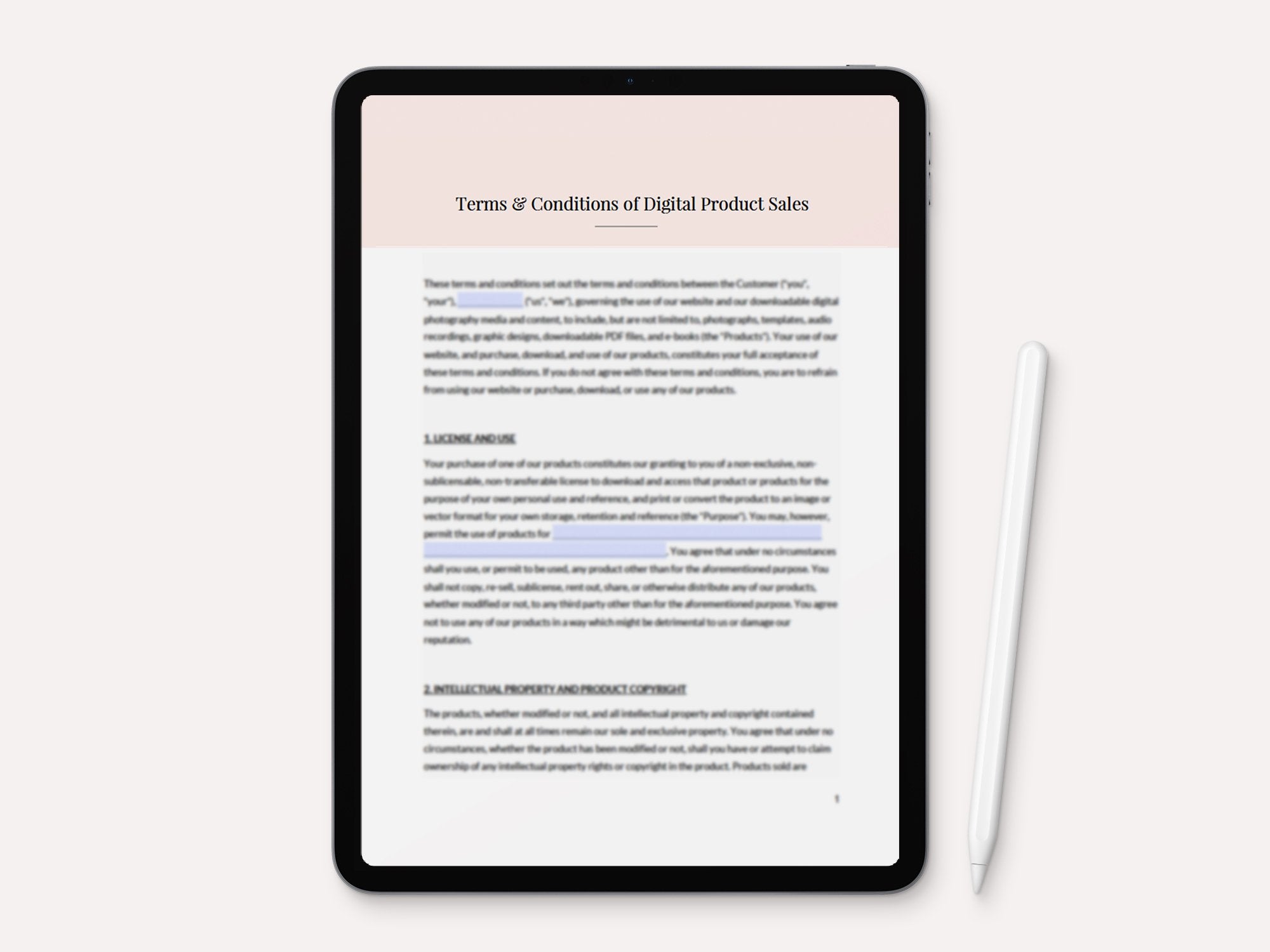Selling Digital Products - Terms & Conditions – Birdesign