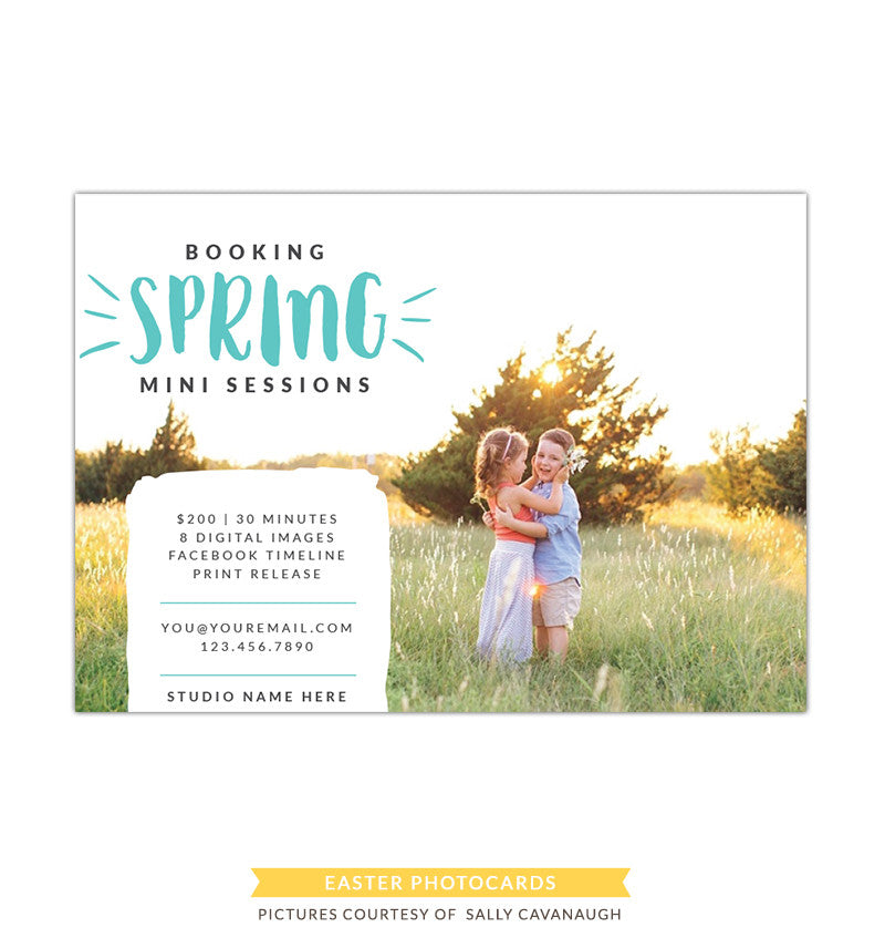 Photography Marketing board | Spring minis