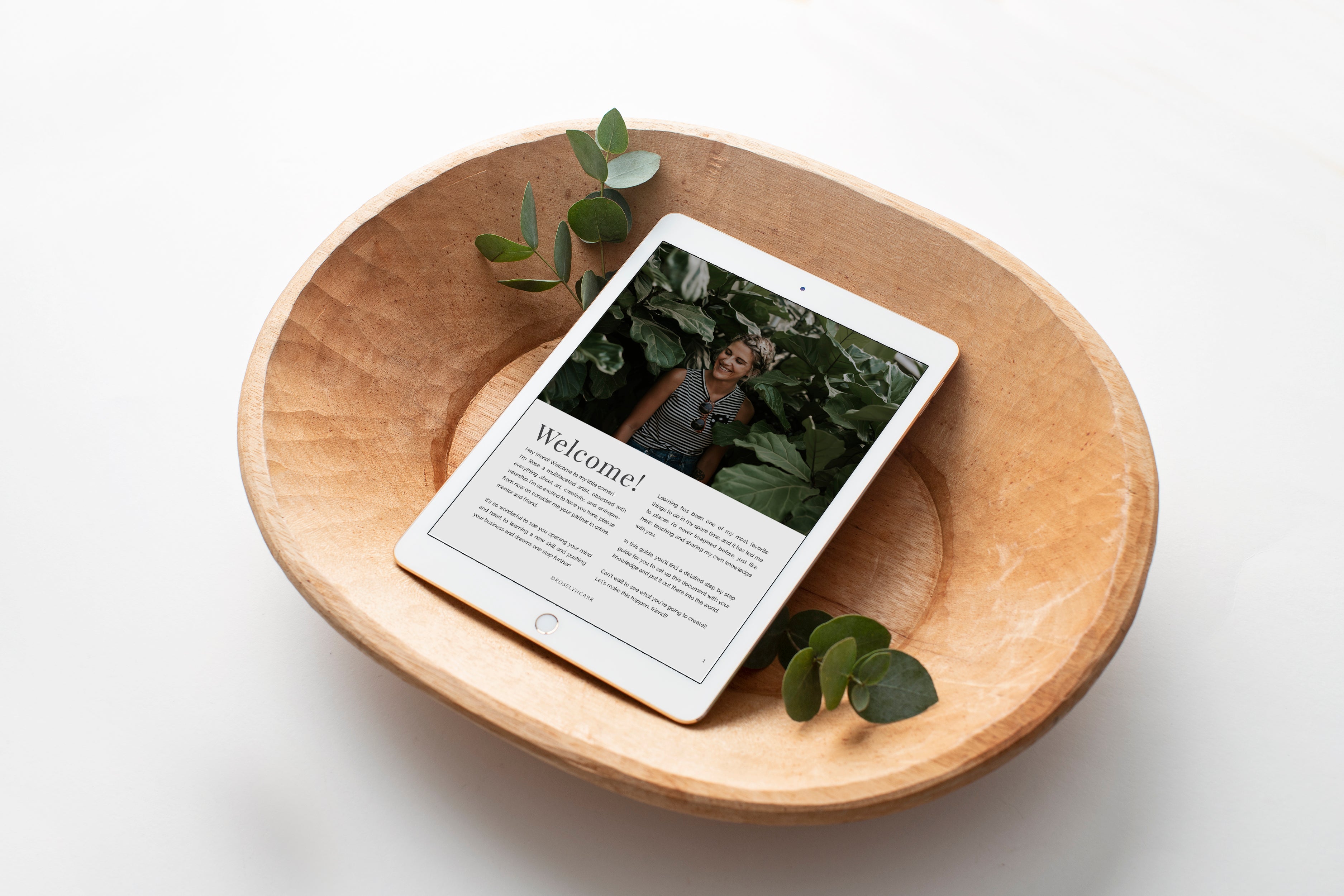 New Stock Images are HERE!! – Birdesign