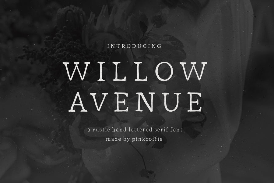 Willow Avenue | Hand lettered Serif