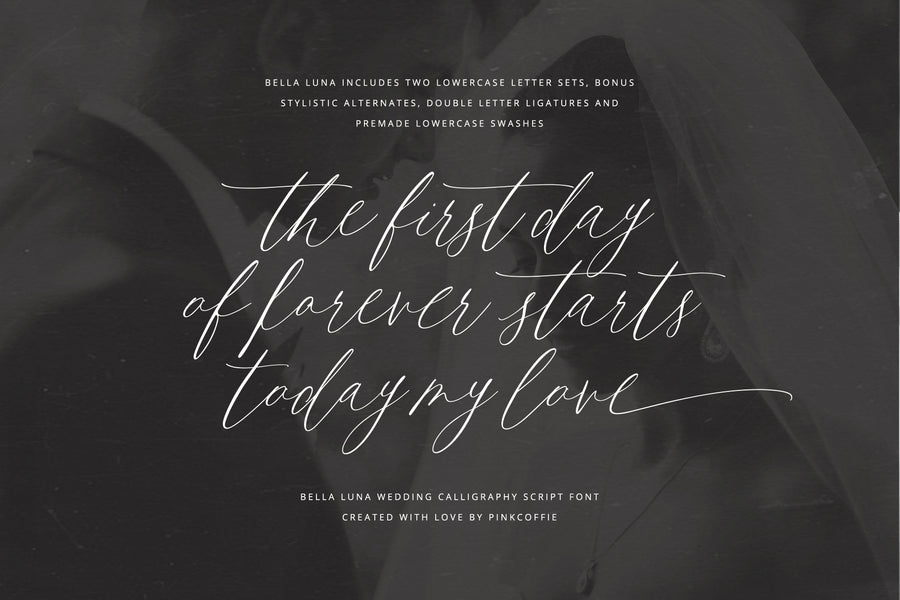 Bella Luna | Feminine Script Font
