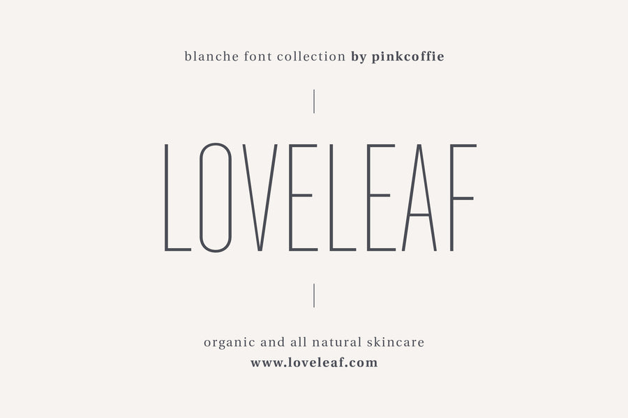 Blanche | Modern Sans Serif + 18 Logos