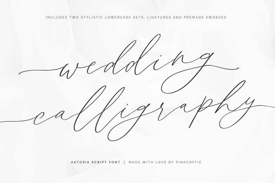 Astoria | Modern Calligraphy Script + 6 Logos