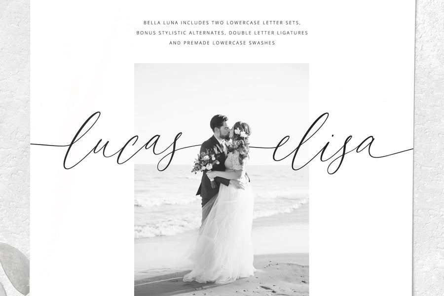 Bella Luna | Feminine Script Font