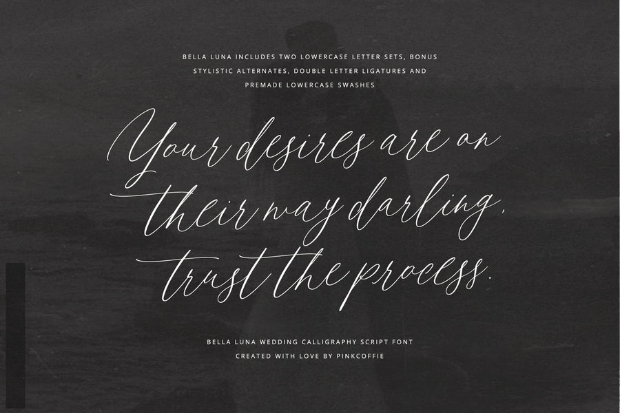 Bella Luna | Feminine Script Font