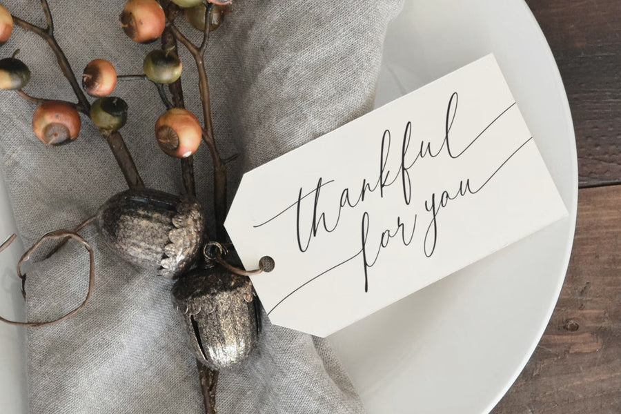 Bella Luna | Feminine Script Font