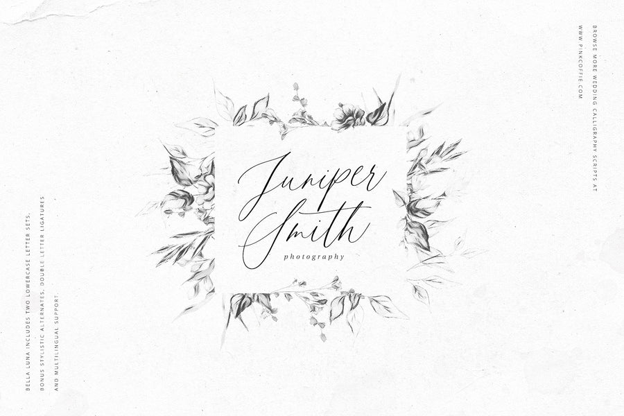 Bella Luna | Feminine Script Font