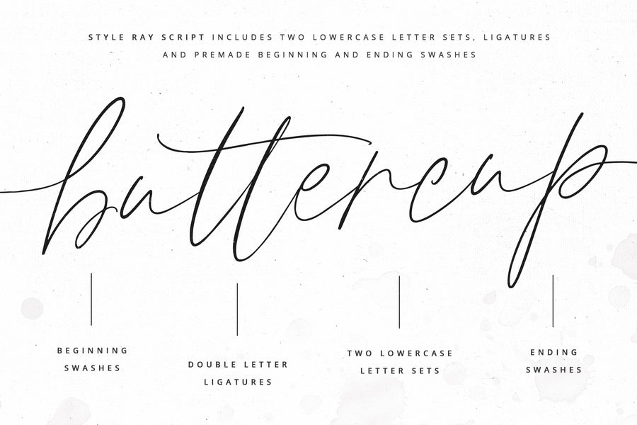 Style Ray | Casual Chic Script Font