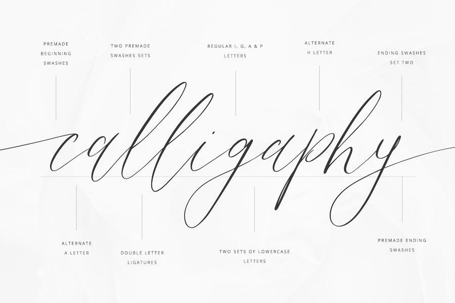 Aristea | Modern Calligraphy Script