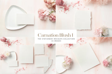 Carnation Blush Stationery Collection | 15 Stock Images