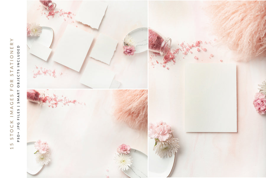 Carnation Blush Stationery Collection | 15 Stock Images