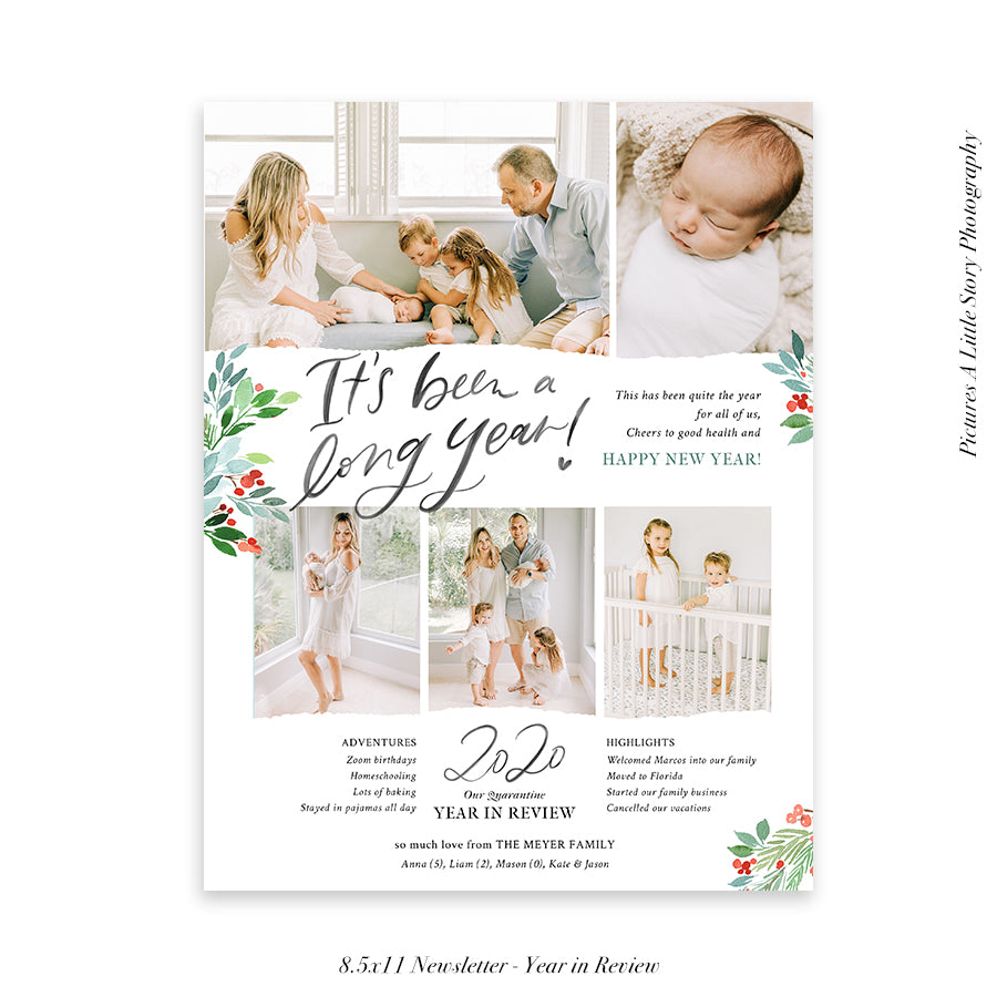 Year in Review Family Newsletter Template | A Long Year 2020
