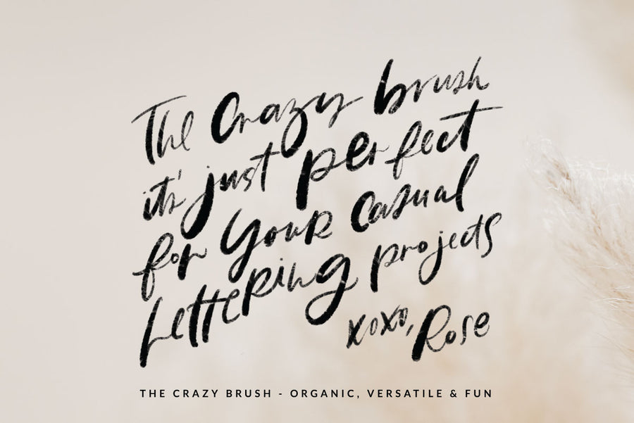 The Modern Lettering Brush Set - For Ipad Pro Lettering