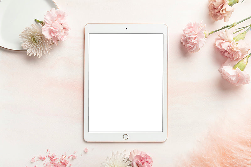 Carnation Blush Stock Image - Ipad 2