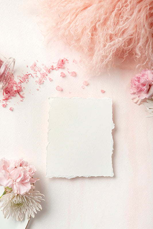 Carnation Blush Stock Image - Paper 1