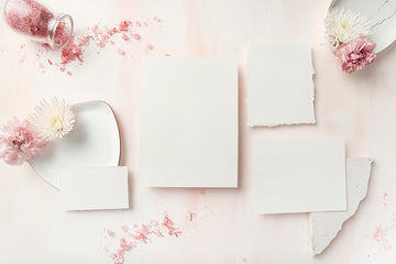 Carnation Blush Stock Image - Stationery 1