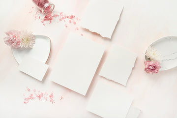 Carnation Blush Stock Image - Stationery 2