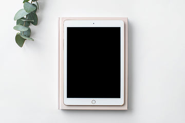 CleanGreen Stock Image | Ipad 1