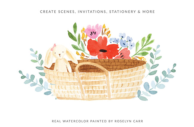 Watercolor Illustrations Pack - The Newborn