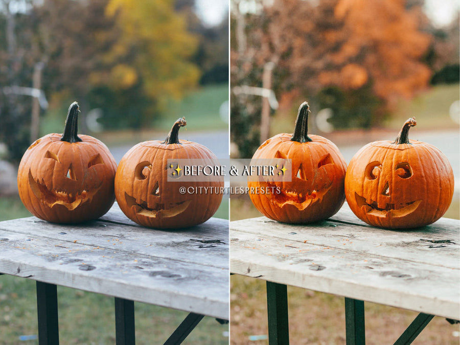 Bright Warm AUTUMN Lifestyle Vibrant Fall Lightroom Presets