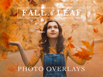 70 Natural Falling Autumn Leaves Photo Overlays
