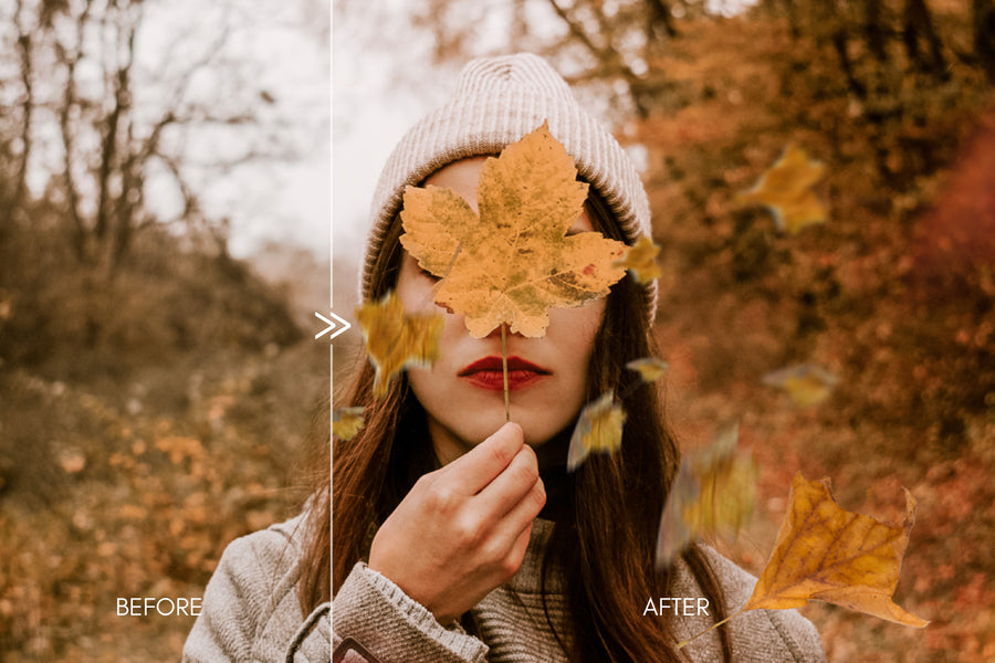 70 Natural Falling Autumn Leaves Photo Overlays