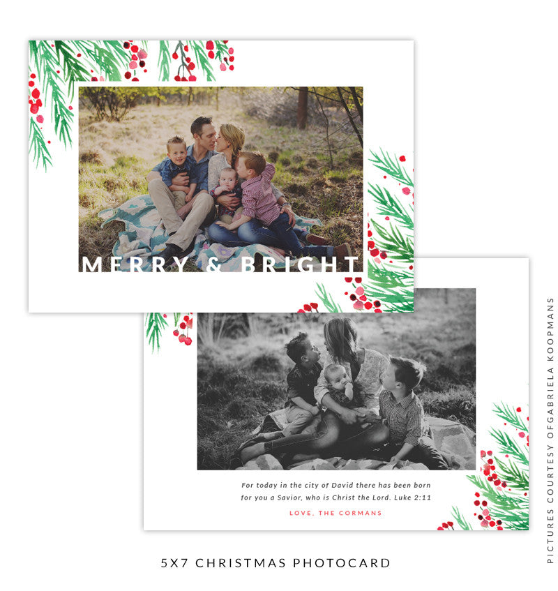 Christmas 5x7 Photo Card | Holly Berries