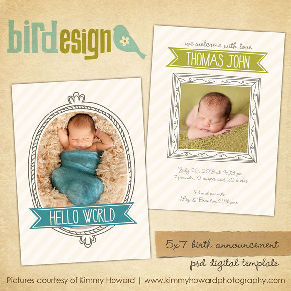 Birth Announcement | Whimsy boy