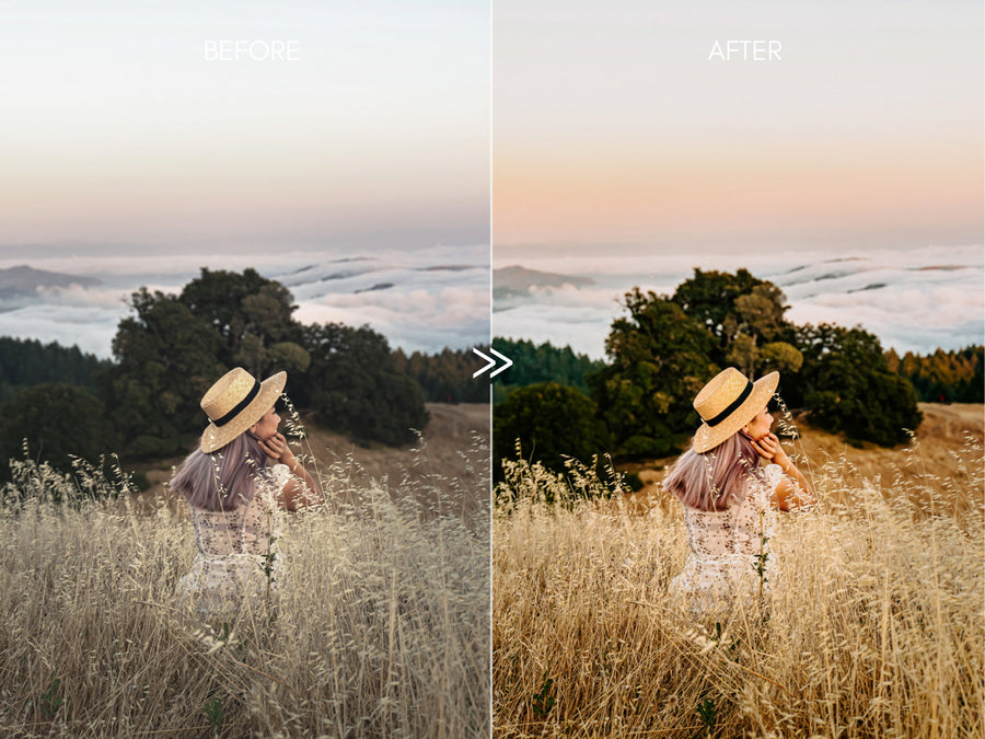 Sunny GOLDEN GLOW Outdoor Lightroom Presets