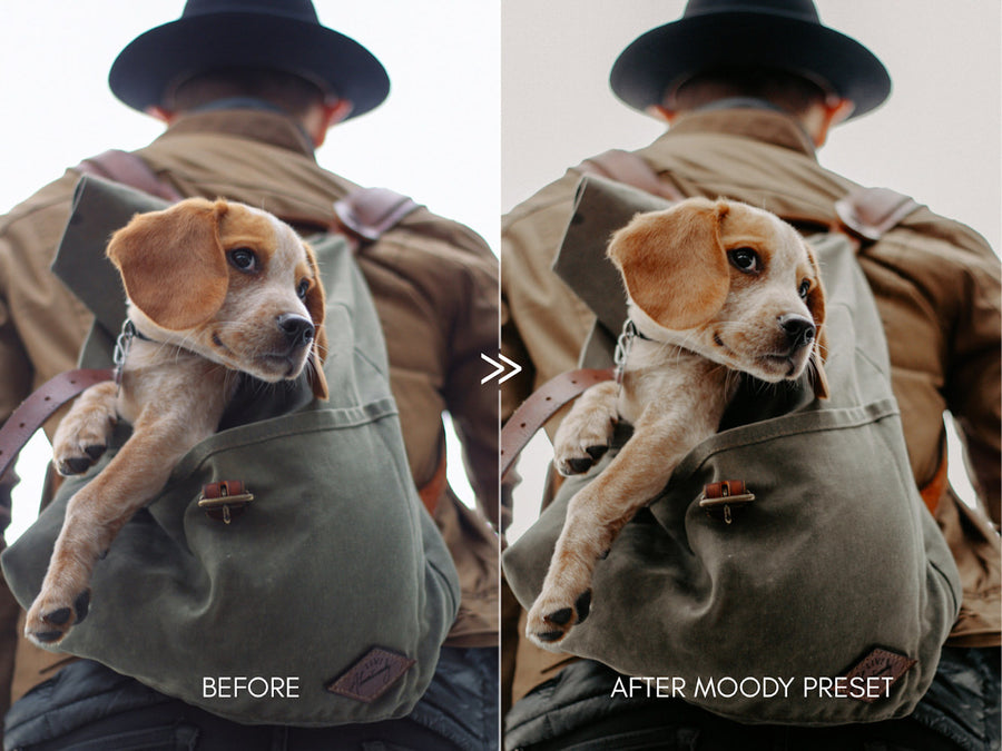 Moody Pet Photography GREAT OUTDOORS Lightroom Presets