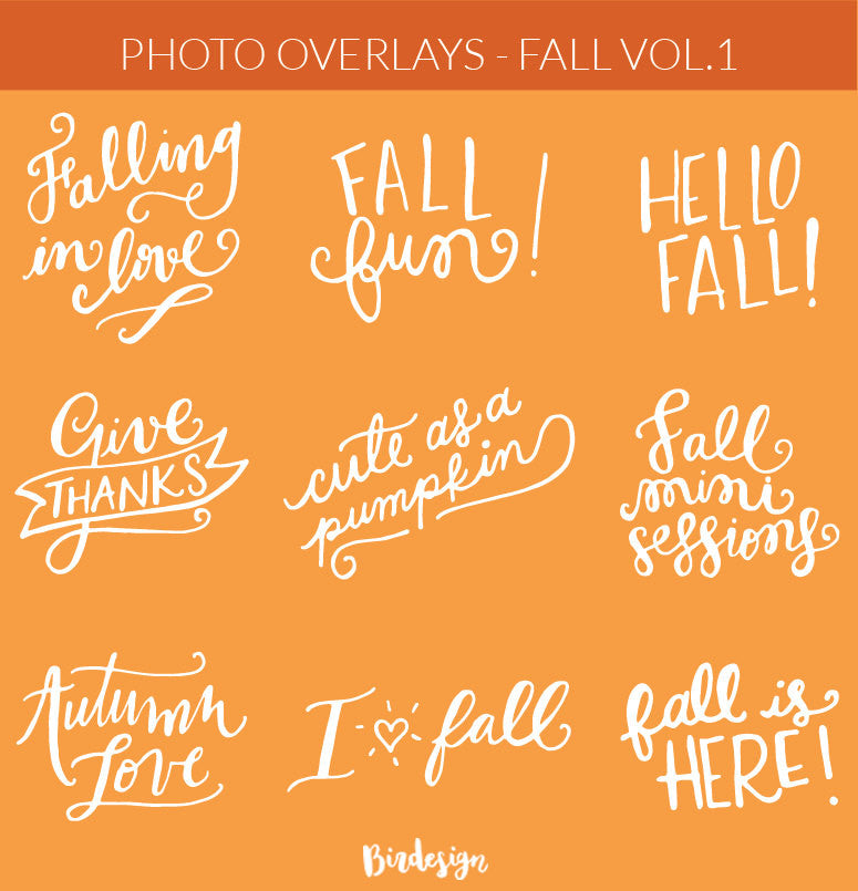Photo Overlays | Fall Vol. 1