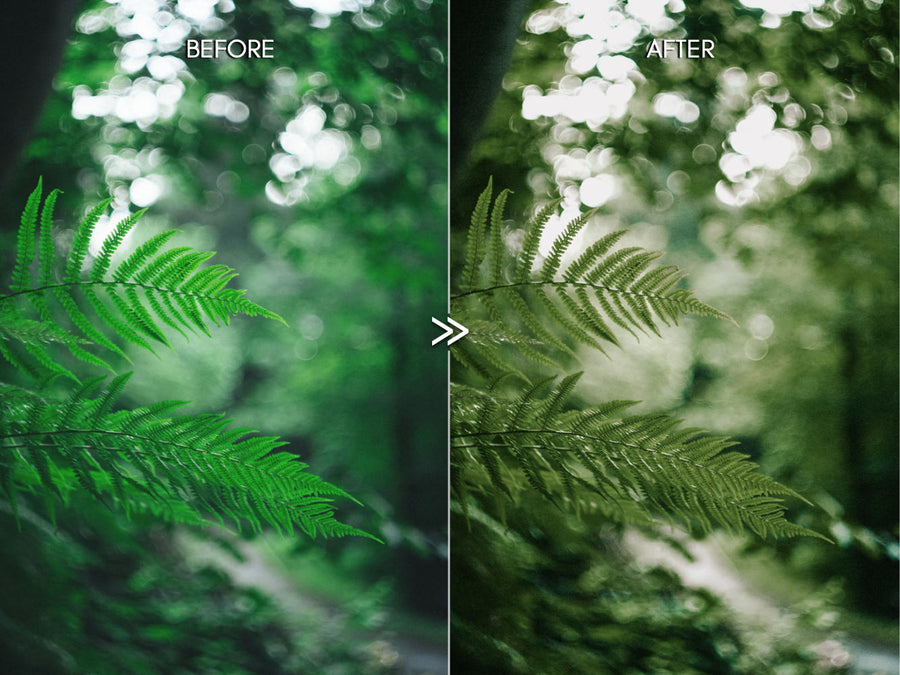 Moody RICH GREENS Outdoor Travel Nature Lightroom Presets