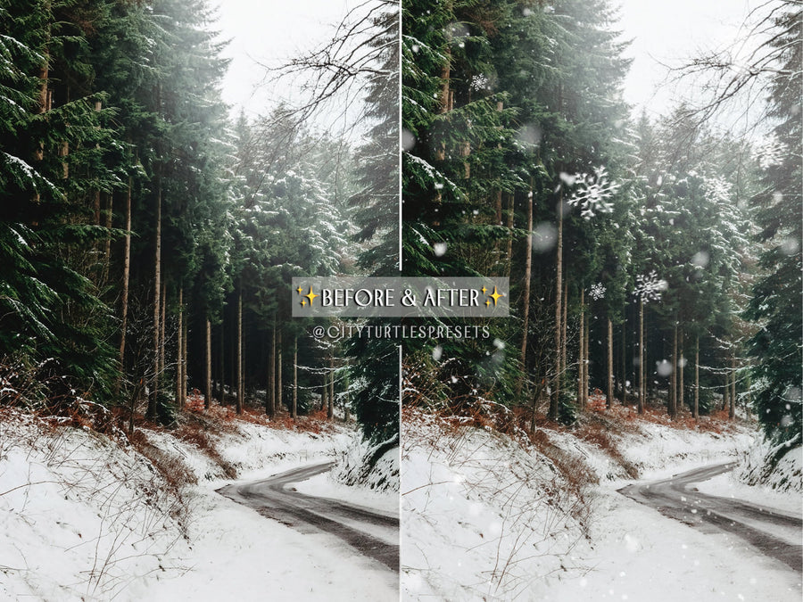 30 Natural Falling Snowflakes Winter Photo Overlays