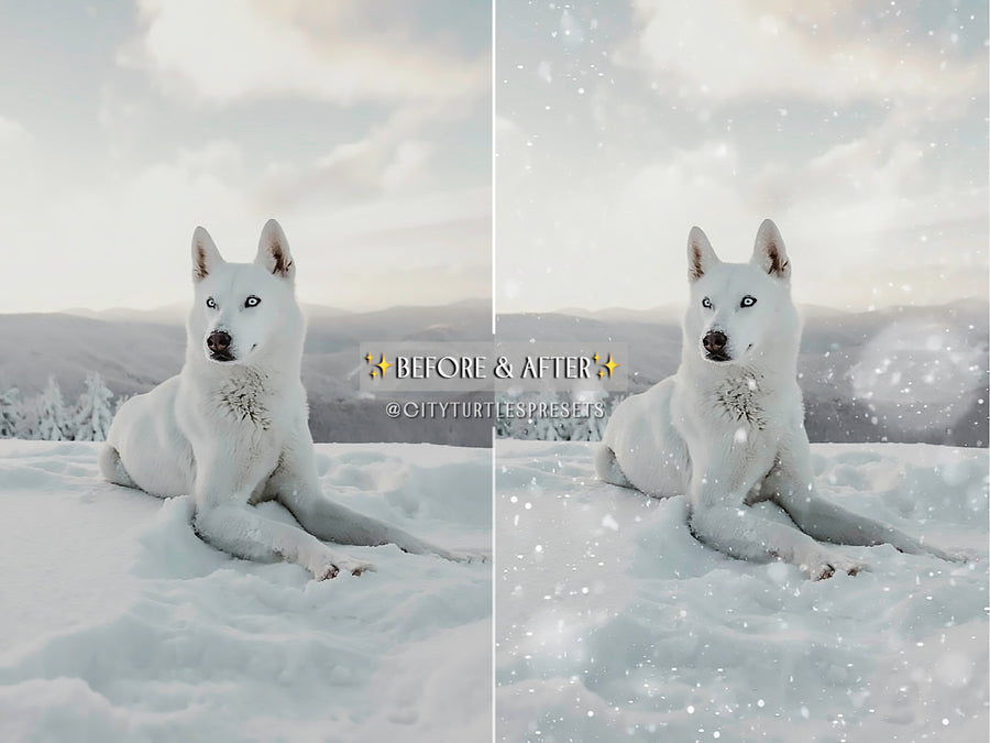 30 Natural Falling Snowflakes Winter Photo Overlays