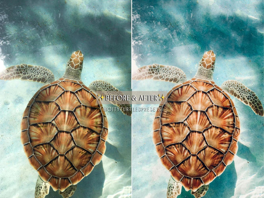 SUMMER Vibrant Travel Blogger Video Editing LUTs