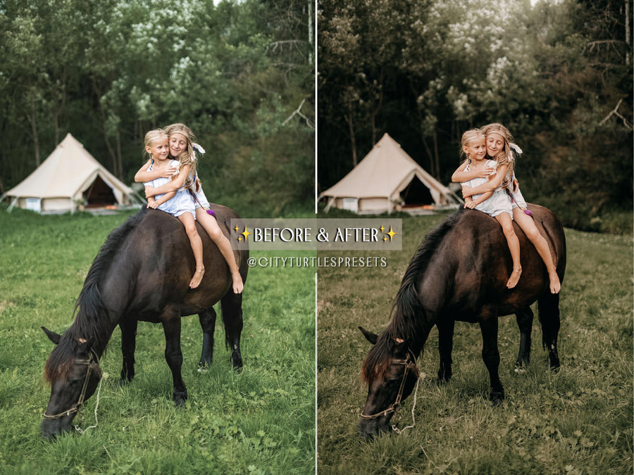 WILD WEST Moody Boho Lightroom Presets