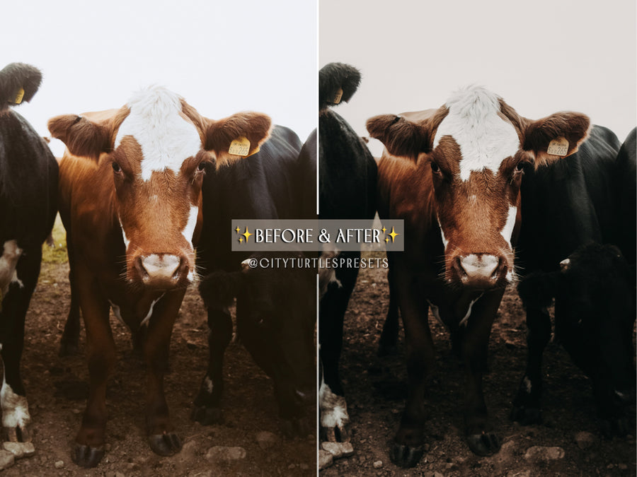 WILD WEST Moody Boho Lightroom Presets